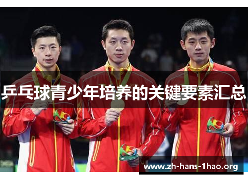 乒乓球青少年培养的关键要素汇总 乒乓球青少年培养的关键要素汇总