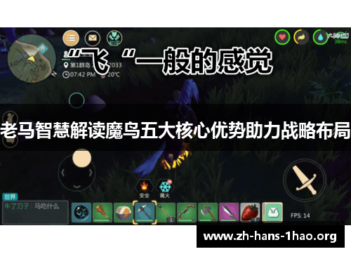 老马智慧解读魔鸟五大核心优势助力战略布局 老马智慧解读魔鸟五大核心优势助力战略布局