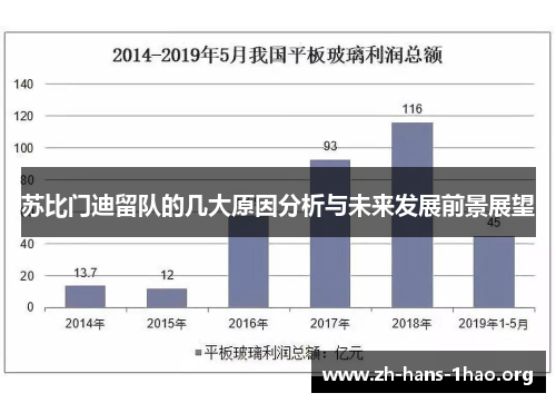 苏比门迪留队的几大原因分析与未来发展前景展望 苏比门迪留队的几大原因分析与未来发展前景展望