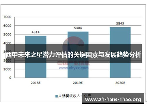 西甲未来之星潜力评估的关键因素与发展趋势分析